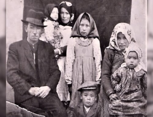 De kurdisk-talende tyrkere i København